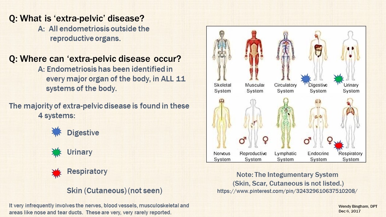 11systemsextrapelvicdiseaesl1