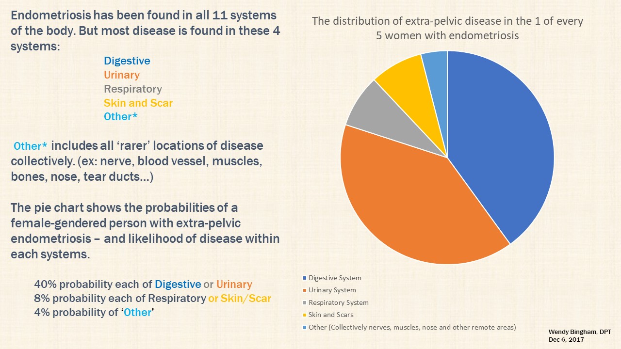 PieChartCategoriesEP
