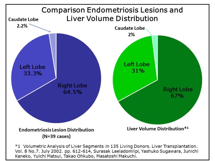 FinalLobeVolumevsLesionDistributionPercentagesN39